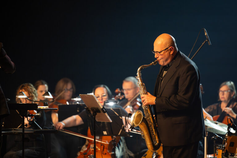 Read more about the article BARON PLAYS STROBEL – koncert w ramach projektu „Przestrzeń otwarta dla muzyki” – 14 września 2025r.