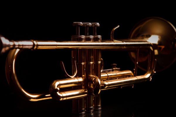 Przesłuchania: muzyk solista TRĘBACZ