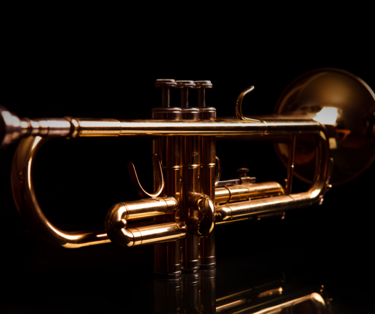 Read more about the article Przesłuchania: muzyk solista TRĘBACZ